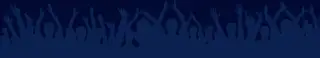 Rwc Footer Graphic