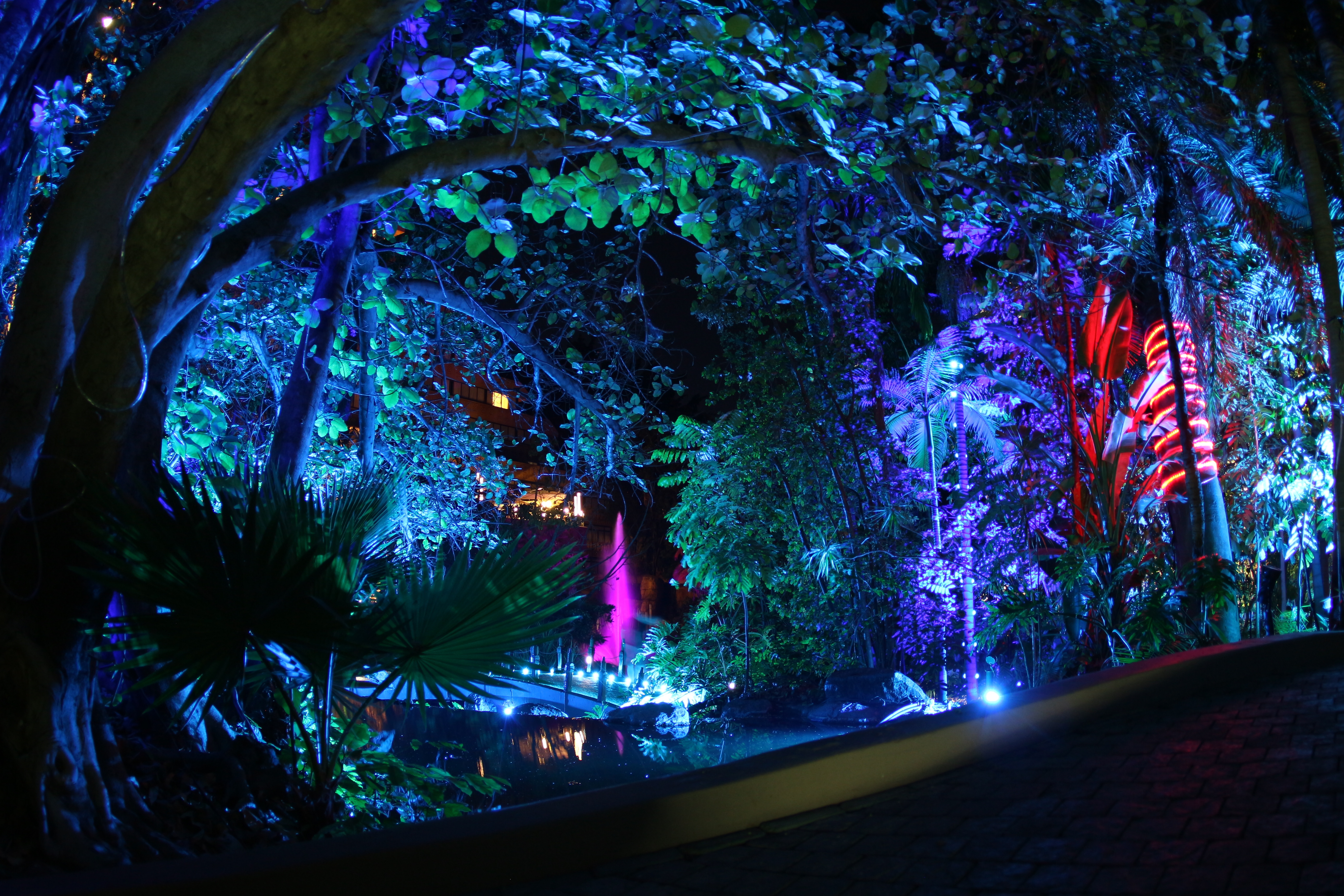 Sun City The Cascades Forest Of Lights Bridge Water