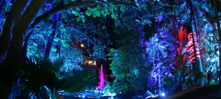 Sun City The Cascades Forest Of Lights Bridge Water