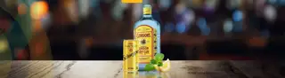 Mero Gordons Special Web