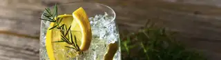 Gin Cocktail