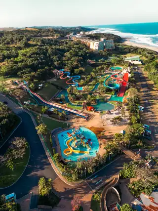 Wild Drone Shot