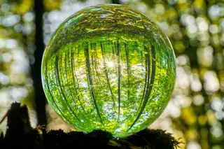 Sustainability Place Holder Image