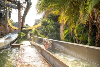 Sun City Valley Of Waves Ovango And Nobles Descent Water Slides
