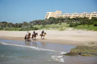 Wild Beach Horse Riding