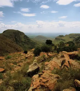 Warerberg Limpopo