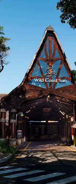 Sunfest Card Wild Coast