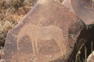 Wildebeest Kuil Rock Art Centre