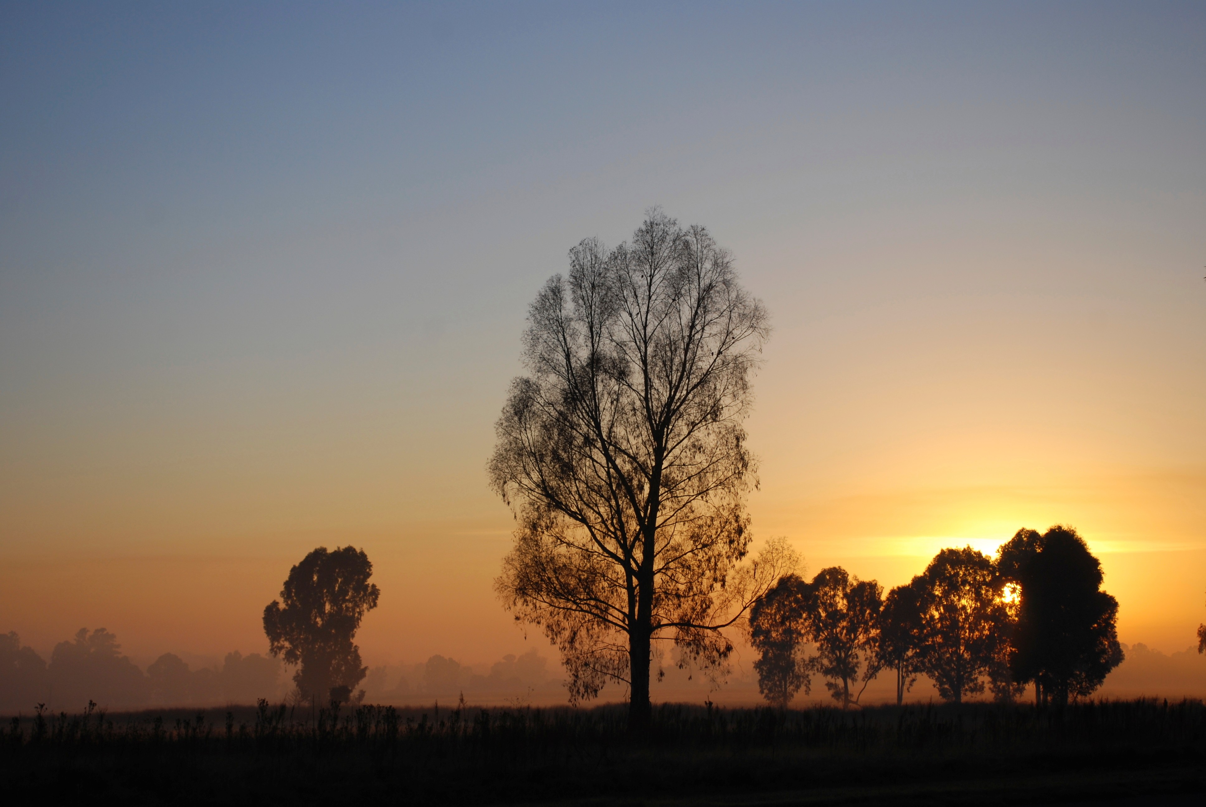 Landscape Sunrise 5372