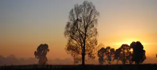 Landscape Sunrise 5372