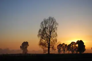 Landscape Sunrise 5372