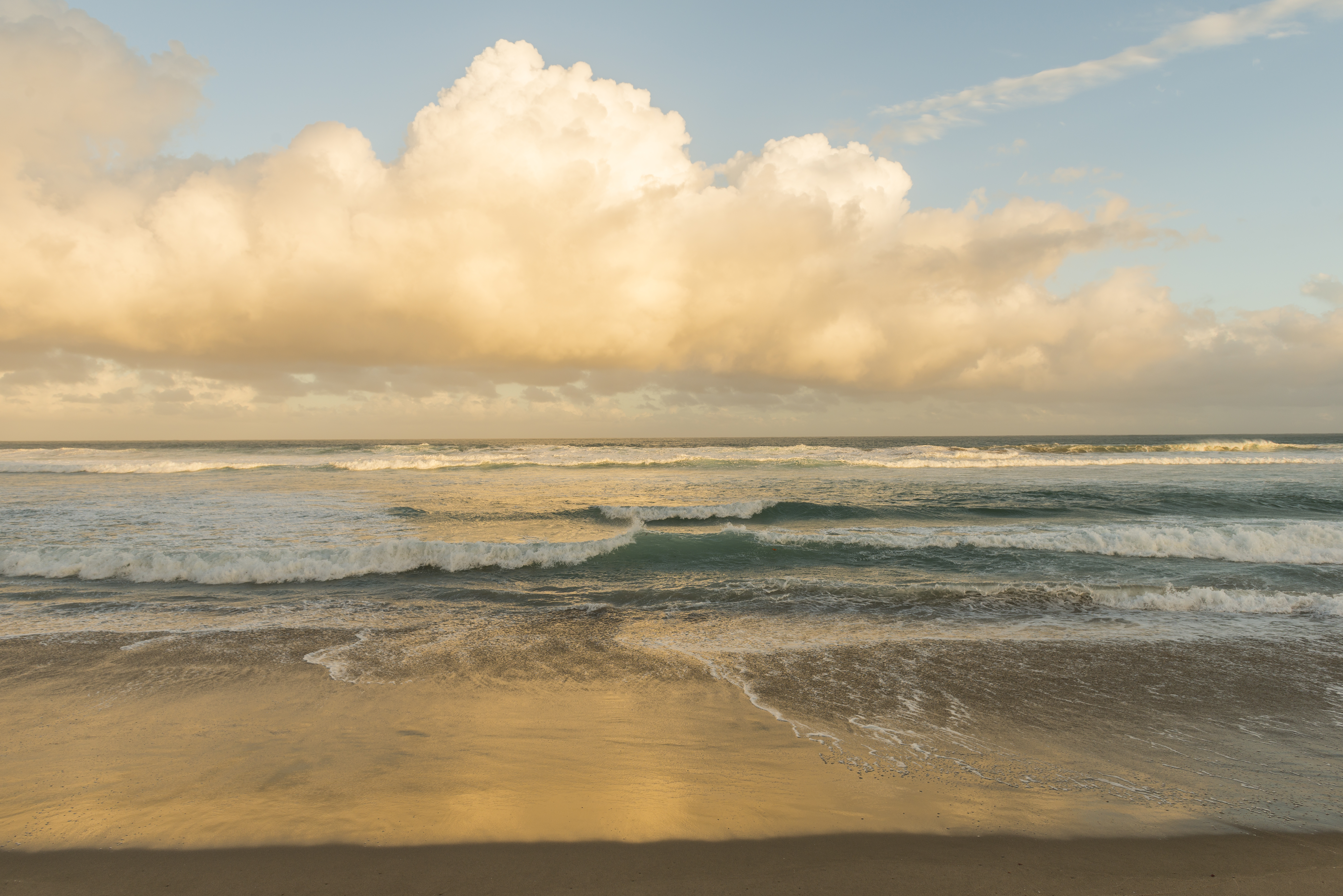 Wild Coast Beach Sunset NIC0646