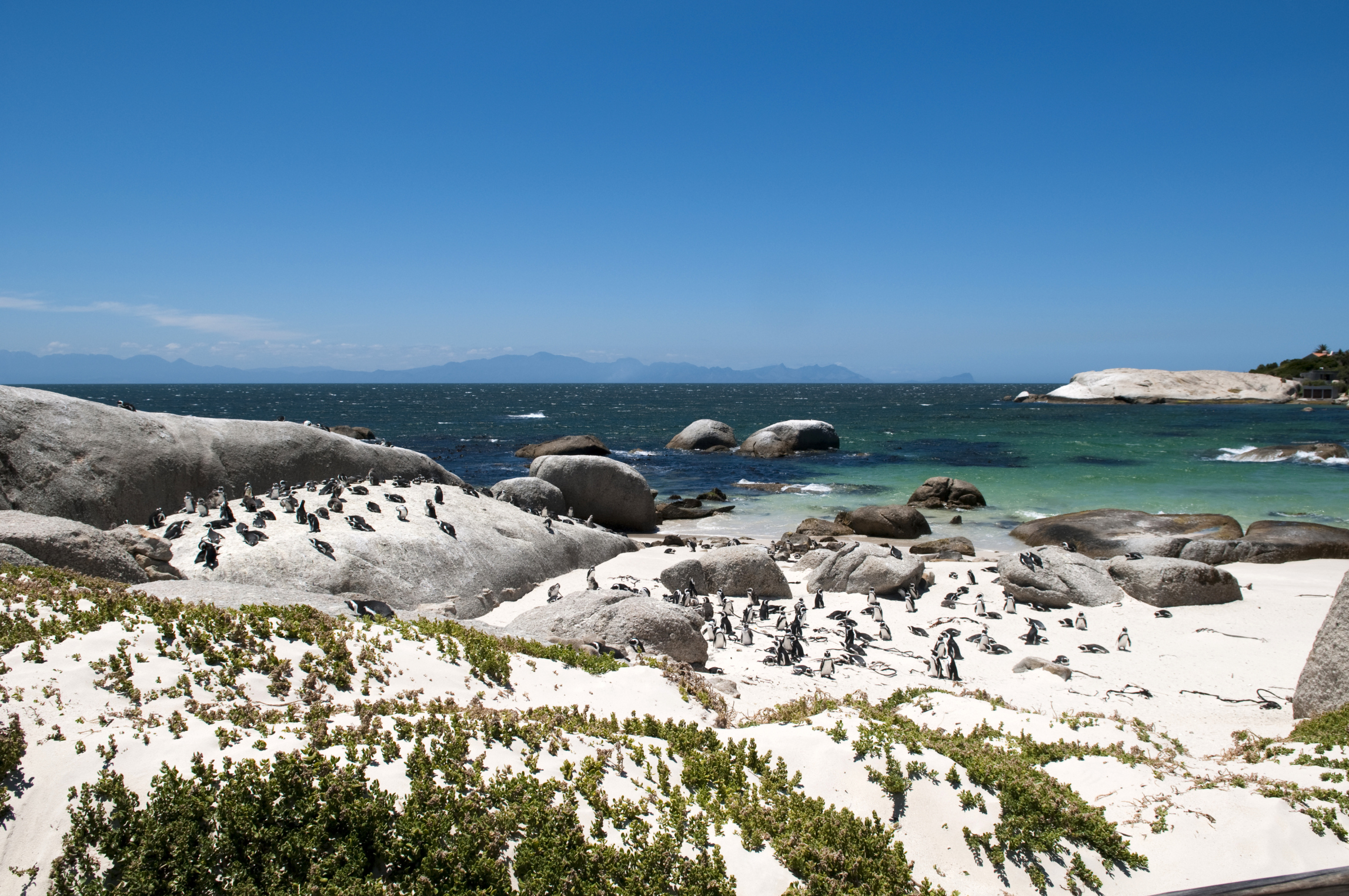 Sa Western Cape 96338962