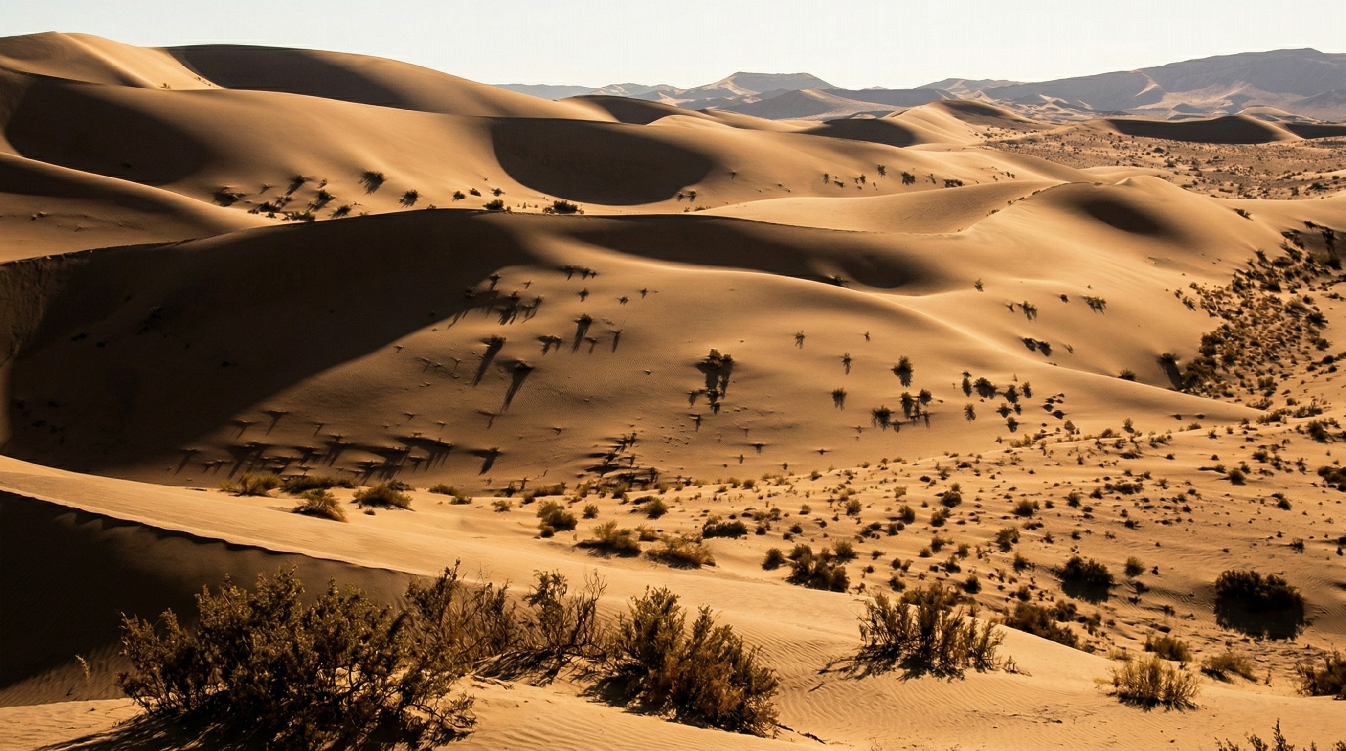 Freepik Sand Dunes 0001