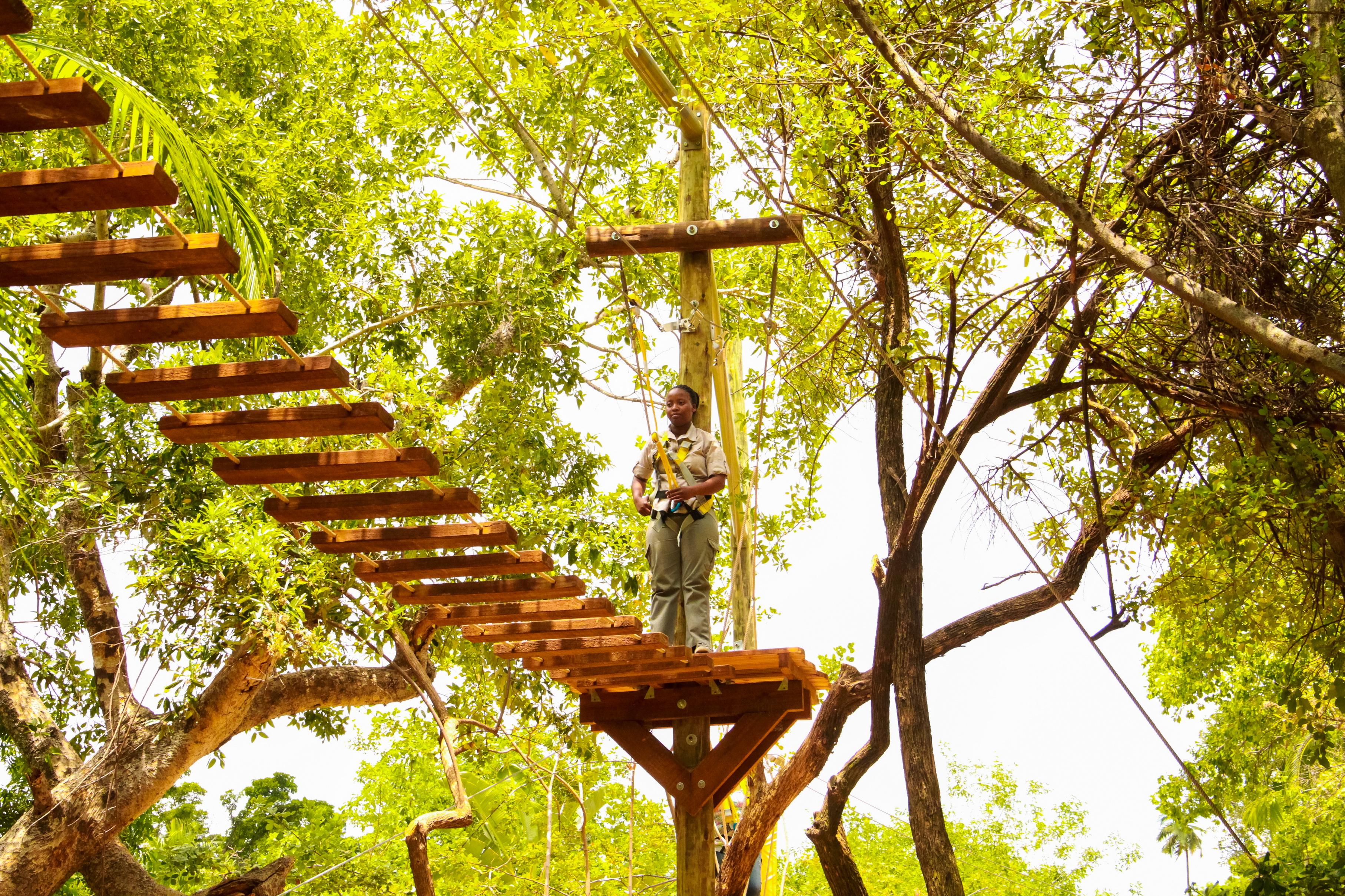 Sun City Chimp & Zee 53 1