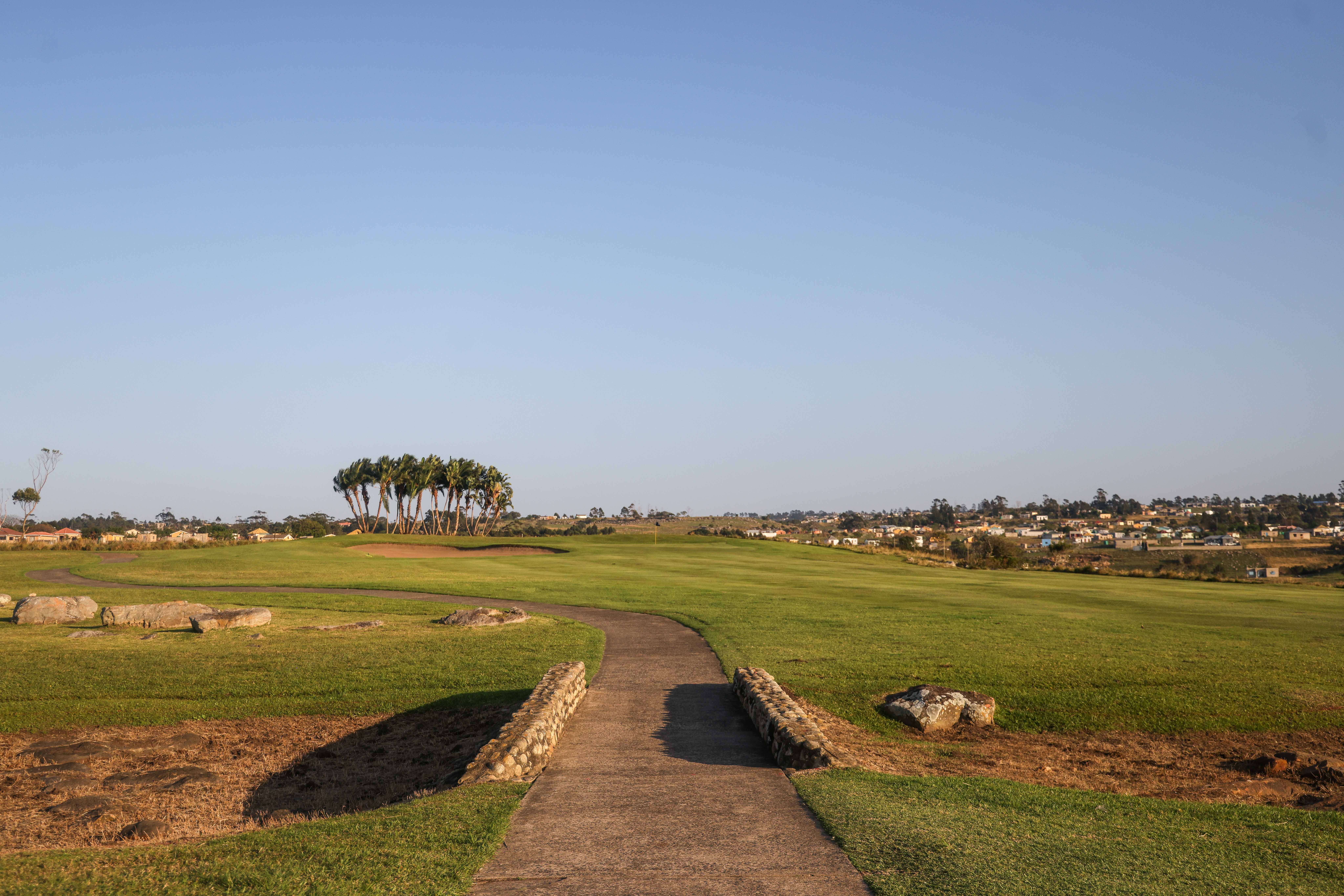 Wild Golf Hole 14