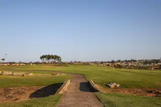 Wild Golf Hole 14