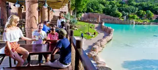 Sun City The Brew Monkey 0036
