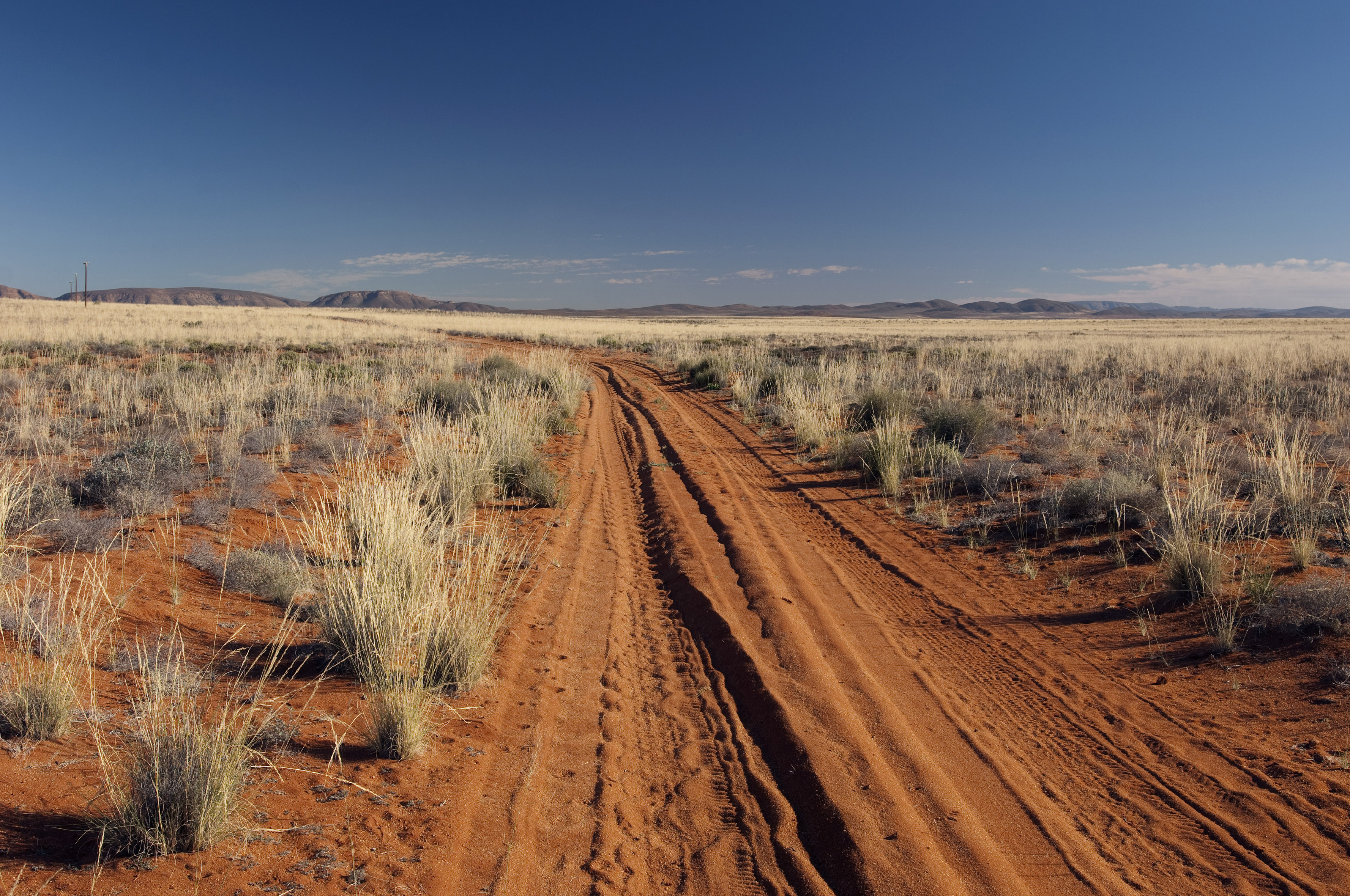 Namaqualand Northern Cape