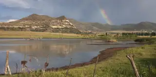 Free State Dam Rosendal