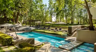 Maslow Pool Area With Garden