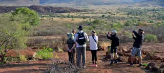 Sunr Activities Mankwe Gametrackers Bushwalk
