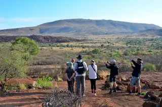 Sunr Activities Mankwe Gametrackers Bushwalk