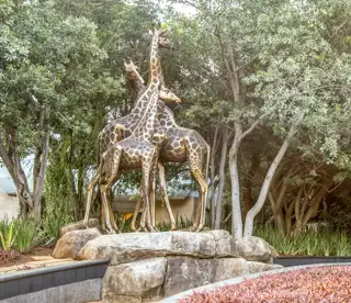 Sun City Sun Central Entrance 9223 1