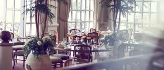 Kiplings Brasserie 03