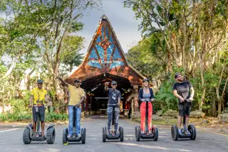 Wild Coast Sun Segway Tours