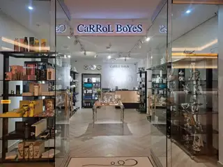 Sunr Carrol Boyes Jan 2025