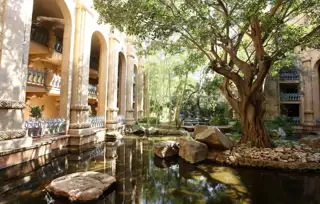 The Palace Exterior Gardens