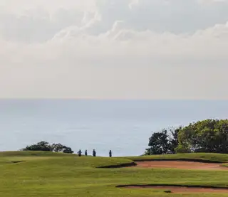 Wild Golf Hole 15
