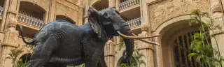 Sun City Palace Shawu Day
