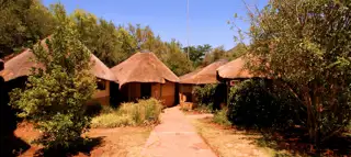Sunr Exterior Bush Bungalows Group