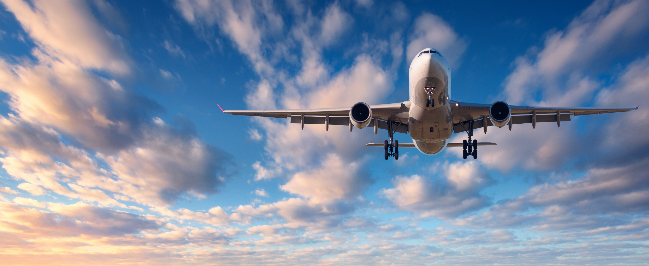 Landing Airplane