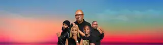 Wild Vinny Da Vinci Web