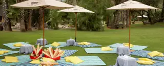 Sun City Conference Picnic Cabanas 1280