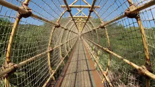 The Maze 6403