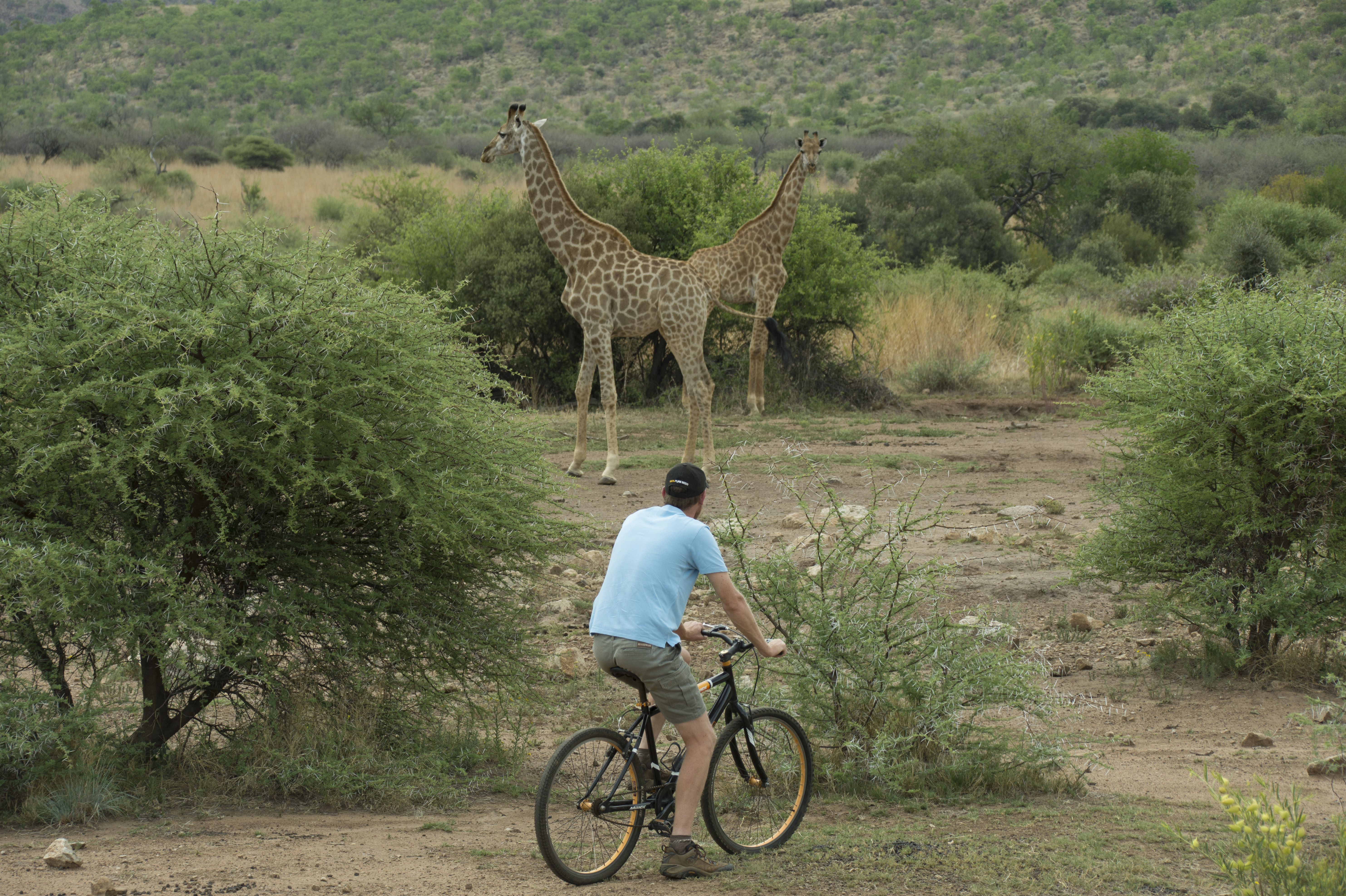 Sun City Mountain Biking Letsatsing Game Park Mankwe Gametrackers 01