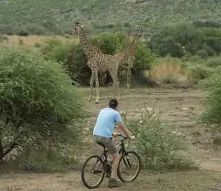 Sun City Mountain Biking Letsatsing Game Park Mankwe Gametrackers 01