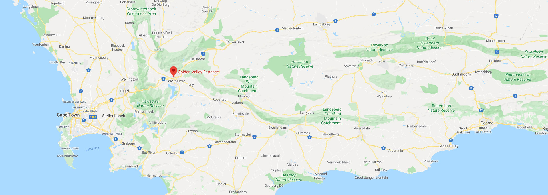 Gold Google Map Preview
