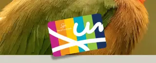 Svc Members Cards Members Card