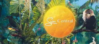 Sun Central Mural 2