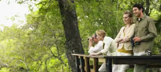Bird Watching