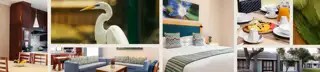 Aviary Page Banner