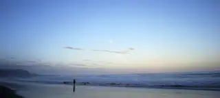 Natal Beach Angler
